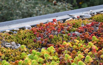 the cost of Clacton On Sea green roof installation