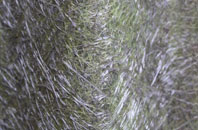 Clacton On Sea fibreglass roof work